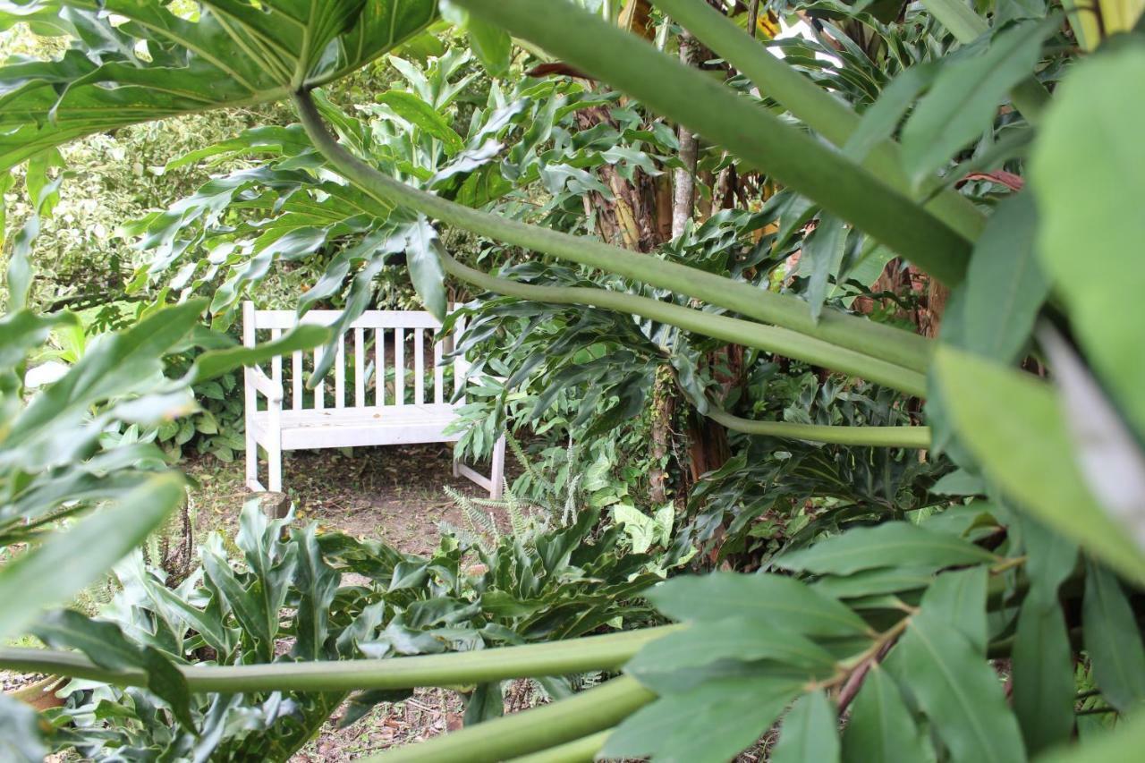 Pousada Habitat Marinho Imbituba  Exterior photo